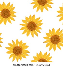 Sunflower rings seamless pattern on white background. Ditsy floral design.  Hand drawn sketch. Watercolor effect flower vector illustration.