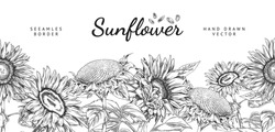 Sunflower Seamless Border, Hand Draw Sketch Vector Illustration On White Background. Monochrome Sunflower Plants And Seeds Drawing. Botanical Banner With Blooming Flowers.