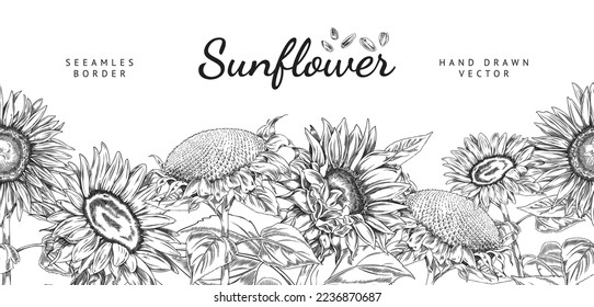 Sunflower seamless border, hand draw sketch vector illustration on white background. Monochrome sunflower plants and seeds drawing. Botanical banner with blooming flowers.