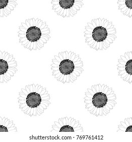 Sunflower Seamless on White Background. Illustration.