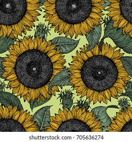 Sunflower seamless pattern. Sunflower background. Retro illustration