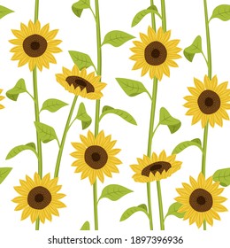 Sunflower seamless pattern . Creative texture for fabric and textile.