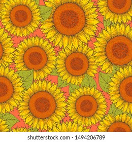 Sunflower seamless pattern. Hand drawn background. Colorful vector illustration. Cute design with sunflower.