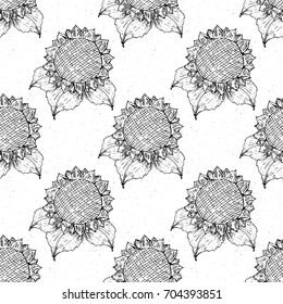 Sunflower seamless pattern hand drawn sketch, background, typography design vector illustration.
