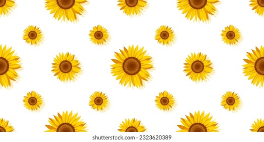 Sunflower seamless pattern on a white background. Decorative cute floral vector illustration. Print fabric design 