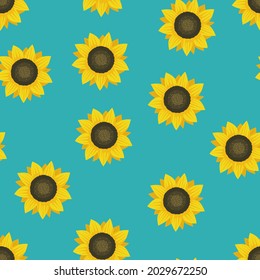 Sunflower seamless pattern. Small sunflowers on a blue background. Vector flat pattern.