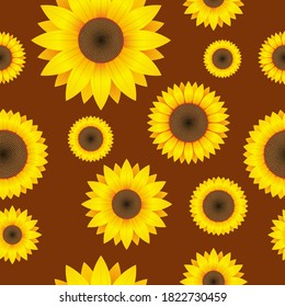 Sunflower seamless pattern vector design illustration
