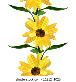 Sunflower, seamless texture on white background, vector.