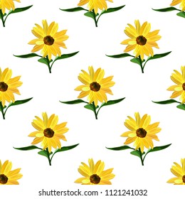 Sunflower, seamless texture on white background, vector.