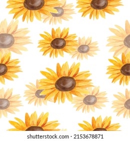 Sunflower seamless vector pattern on white. Hand-drawn watercolor flowers texture. 