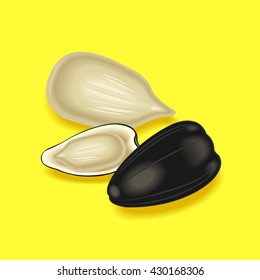 sunflower seed