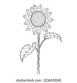 Sunflower, seed food oil, concept of food help global international refugees, from abstract futuristic polygonal black lines and dots. Low poly concept. Vector illustration. 