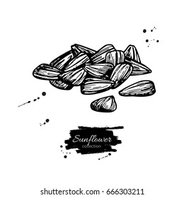 Dibujo de Vector de pilas de girasol. Dibujado a mano ilustración aislada. Boceto de ingrediente de comida vintage. Ideal para el diseño de embalaje, etiqueta, papel de embalaje