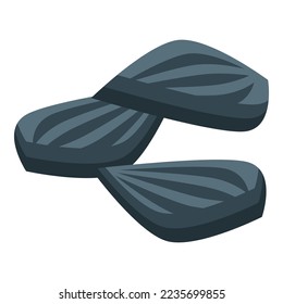 Sunflower seed icon isometric vector. Dry fruit. Food fig