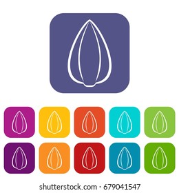 Sunflower seed icons set vector illustration in flat style In colors red, blue, green and other