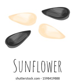 Sunflower seed isolated illustration, cartoon style vector clip-art.