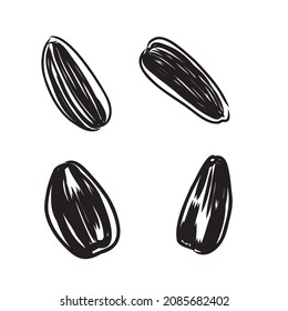 Sunflower seed isolated on white background. Hand drawn sketch. Vector illustration.