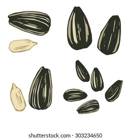 Sunflower Seed Isolated On White Background.
Hand Drawn Sketch. Vector Illustration.