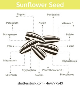 sunflower seed nutrients and health benefits, info graphic, food vector