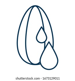 Sunflower seed oil. Grain and two drops of oil or water. Storage conditions and humidity of roasted seeds. Vector illustration thin line editable outline
