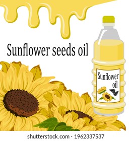 Sunflower seed oil in illustration.Vector illustration with sunflowers and seed oil on a white background.