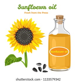 Sunflower seed oil vector illustration on white background. Icon in flat style. Oil in glass bottle. 100% natural.