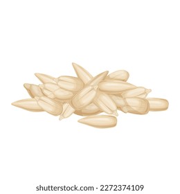 sunflower seed peeled cartoon. food healthy, natural white, agriculture crop, dry grain, heap ingredient, nature nutrition, raw sunflower seed peeled vector illustration