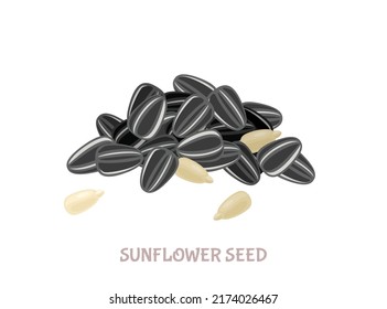 Sunflower seed pile. Vector simple illustration isolated on white. Icon in flat style.