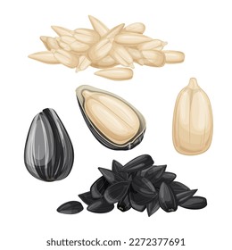 sunflower seed set cartoon. food black, white natural, organic agriculture, dry crop, group pile, snack heap, plant roasted, kernel sunflower seed vector illustration