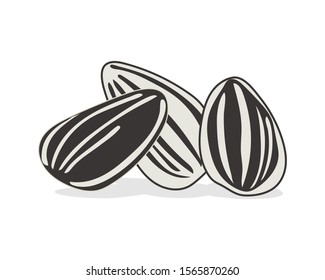 Sunflower seed vector isolated on white background. 