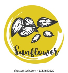 Sunflower seed Vintage hand drawing of seeds Vector illustration Retro design