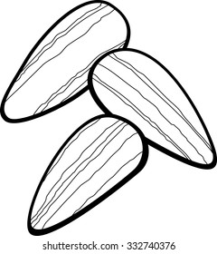 sunflower seeds