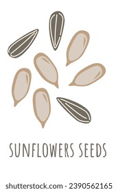 Sunflower seeds cartoon vector illustration. Edible seeds on white backdrop. Flat vector graphic.