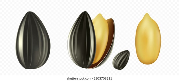 Sunflower seeds closeup isolated on transparent background. Vector Template