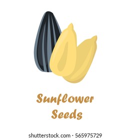 Sunflower seeds color icon in cartoon design