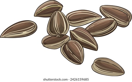 Sunflower Seeds Colored Detailed Illustration.