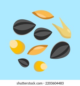 sunflower seeds, corn and grains on a blue background