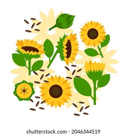 Sunflower and seeds elements abstract vector design background