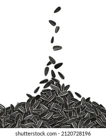 Sunflower seeds falling from top healthy snack. Roasted seed. Vector illustration for stock image