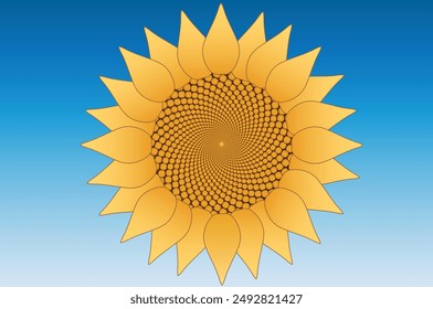 sunflower seeds in a fibonacci pattern, golden ratio illustration 