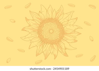 Sunflower and seeds in the form of a pattern. Background for a poster. Advertising for a farm store. Healthy eating for vegetarians. Floral pattern in vector