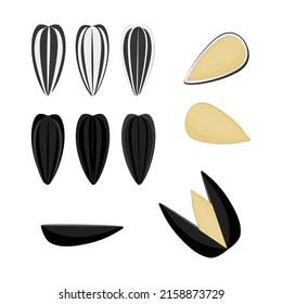 Sunflower seeds. Grain, shell. Vector set on a white background in a flat style.