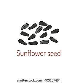 Sunflower seeds. Hand drawn vector illustration.