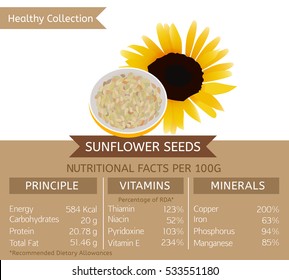 Sunflower seeds health benefits. Vector illustration with useful nutritional facts. Essential vitamins and minerals in healthy food. Medical, healthcare and dietory concept.