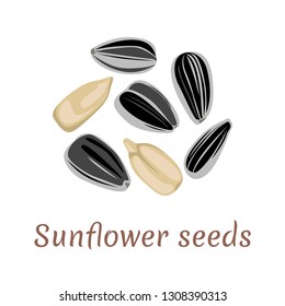 Sunflower seeds icon isolated on white background. Vector illustration in cartoon flat simple style.