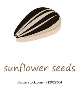 Sunflower seeds icon. Isometric illustration of sunflower seeds vector icon for web