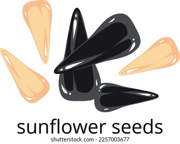Sunflower seeds icon. Natural fresh vegan food