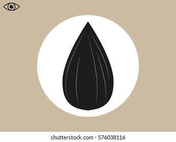 sunflower seeds, icon, vector illustration eps10