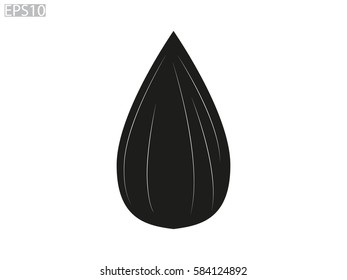 sunflower seeds, icon, vector illustration eps10