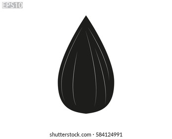 sunflower seeds, icon, vector illustration eps10
